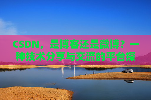 CSDN,是博客还是微博?一种技术分享与交流的平台探讨